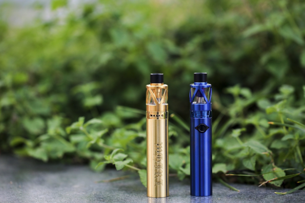 Best Vape for Beginners 